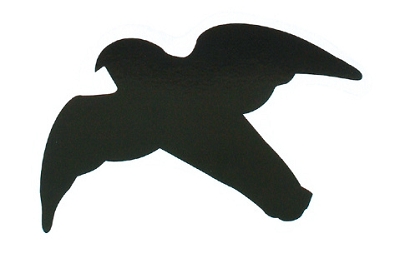 Zier- und Wildvögel allgemein