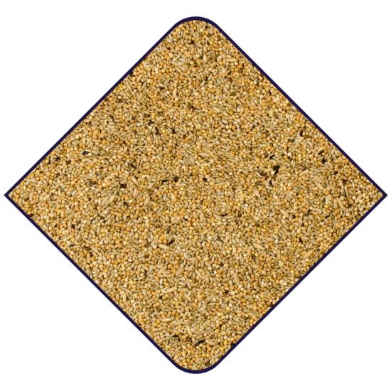 wellensittichfutter champion