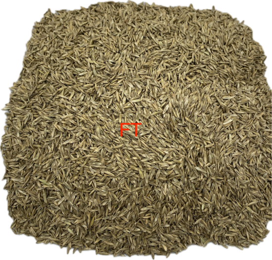 Grassamen Vögel Nager