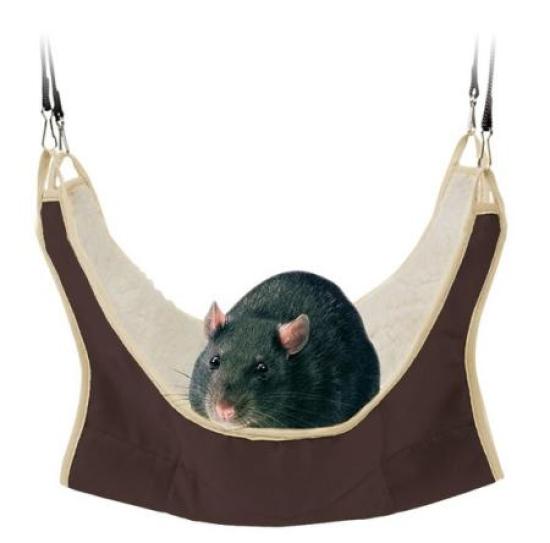 Hängematte Ratten