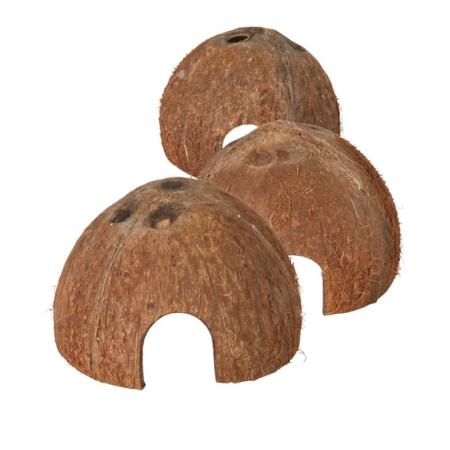 Kokosnusshalbschale1