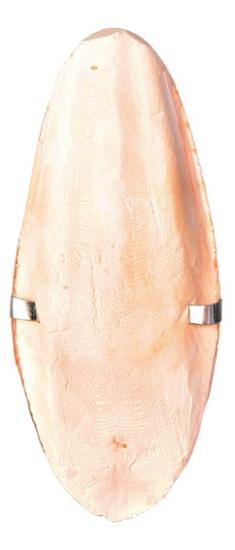 Sepia-Schale mit Halter