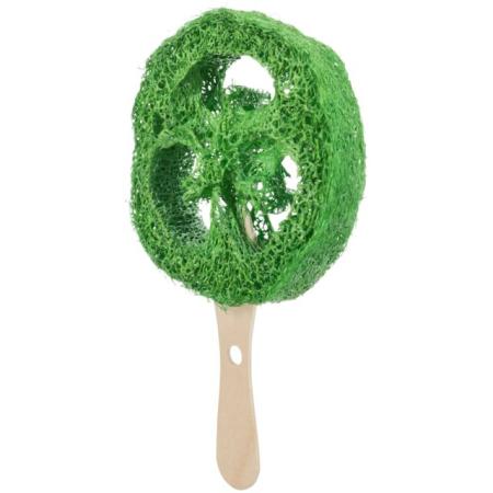 Luffa Lolli1