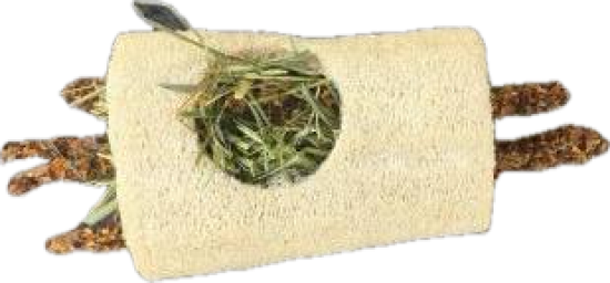 Luffa Tunnel mit Wiesenheu und Sticks