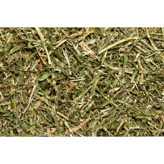 Luzerne für Kleinnager