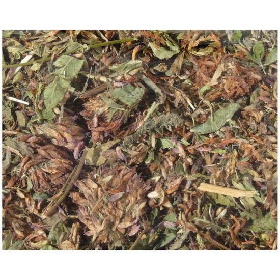 Rotkleeblüten für Nager Vögel