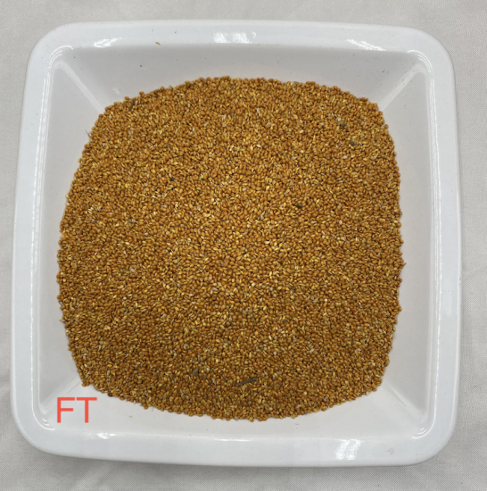 Senegalhirse rot Kanarien Prachtfinken