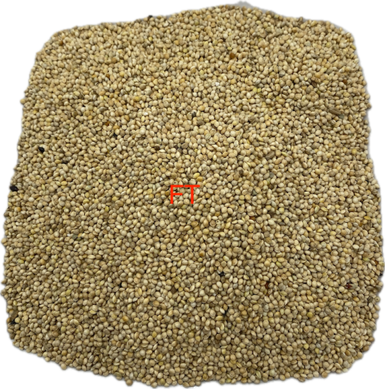Silberhirse
