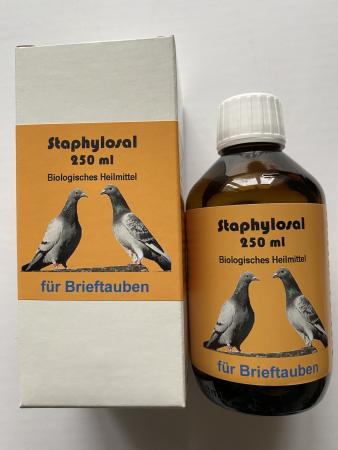 Staphylosal für Brieftauben