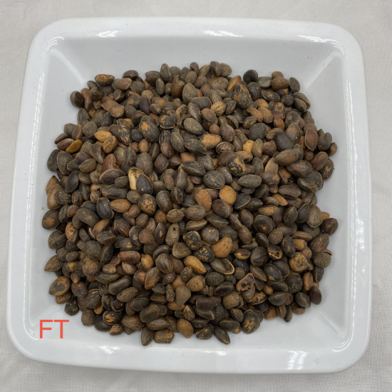 Zirbelnüsse für Vögel und Nager