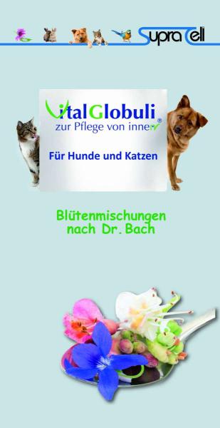 Broschüre Globuli Hund Katze