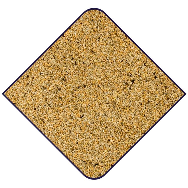 wellensittichfutter champion