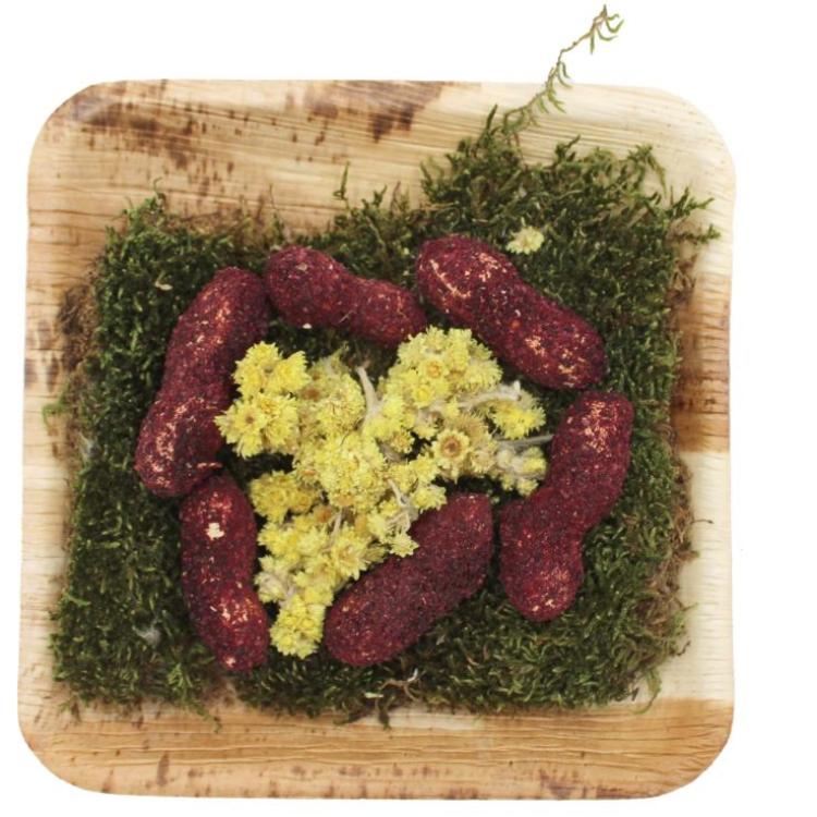 Erdnussmenü auf Palmblattteller für Nager