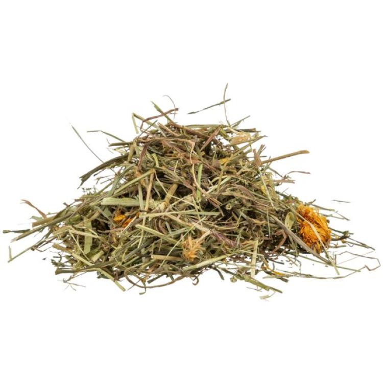 Gräser Wiesenkräuter Landschildkröten