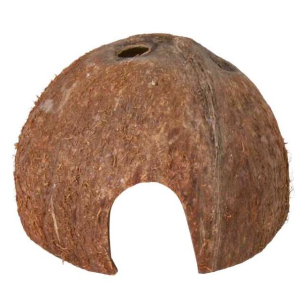 Kokosnusshalbschale