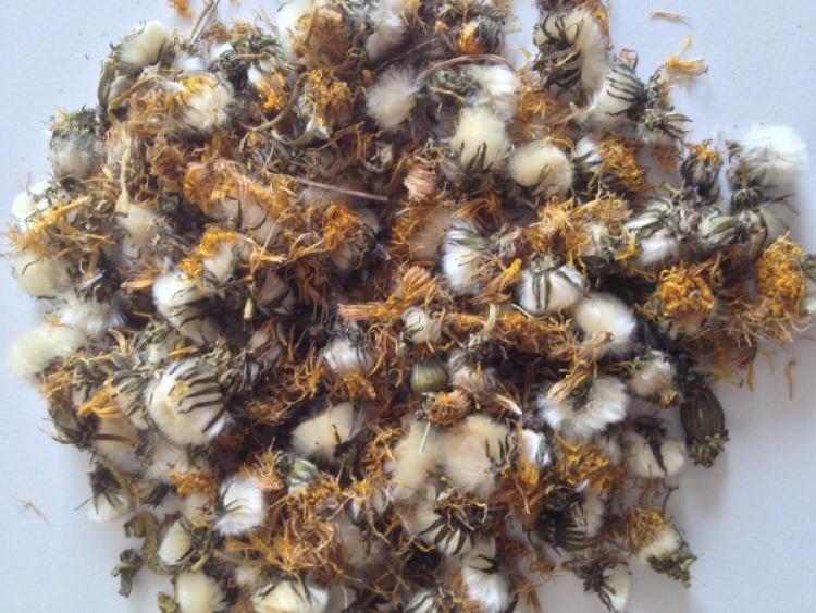löwenzahnblüten für kleinnager