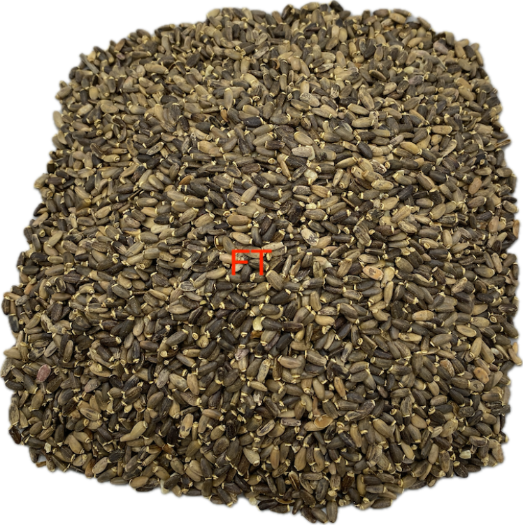 Mariendistel