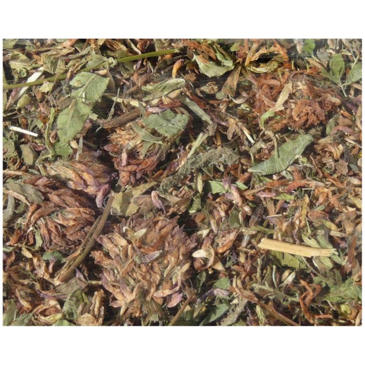 Rotkleeblüten für Nager Vögel