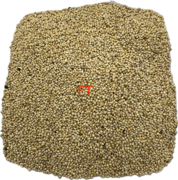 Silberhirse