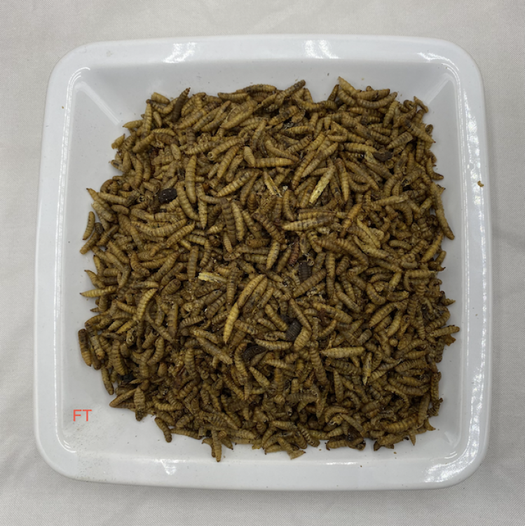 Nager Soldatenfliegenlarven für Vögel Fische Reptilien Wildtiere