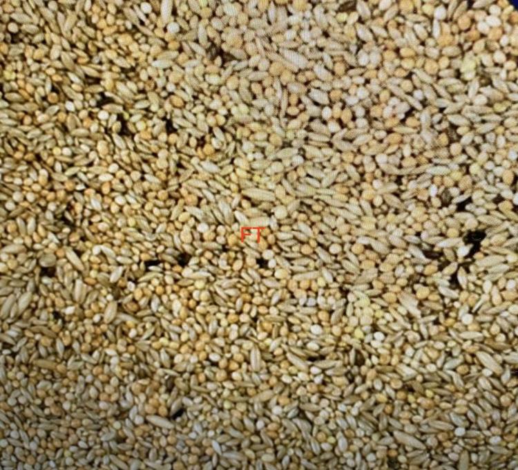 Wellensittichfutter Prima