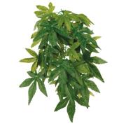 seiden hängepflanze abutilon