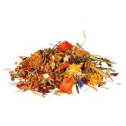 bartagamenfuttermix