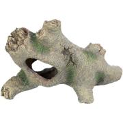 Baumstamm Reptilien Fische