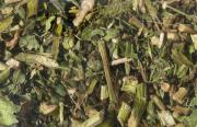 Nagertraum Echinacea (ab 150gr)