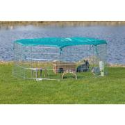 freilauf Meerschweinchen Kaninchen