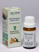 Globuli Entschlackung 10gr Hund Katze