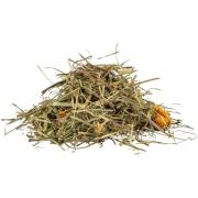 Gräser Wiesenkräuter Landschildkröten