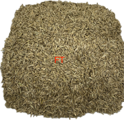 Grassamen Vögel Nager