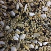 futter für grassittiche neophemen