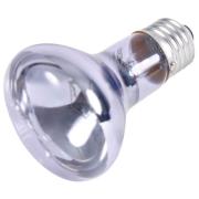 neodymium-waerme-spotlampe-fuer-terrarien