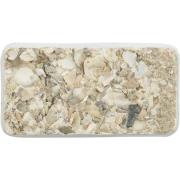 Pickstein mit Muscheln (30gr)