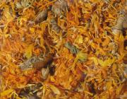 Nagertraum Ringelblumenblütenblätter (ab 130gr)