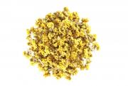 Sandstrohblume für kleinnager