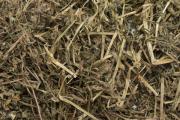 Nagertraum Stiefmütterchen-Kraut (60gr)