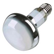 waerme-spotlampe-fuer-terrarien