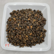 Zirbelnüsse für Vögel und Nager